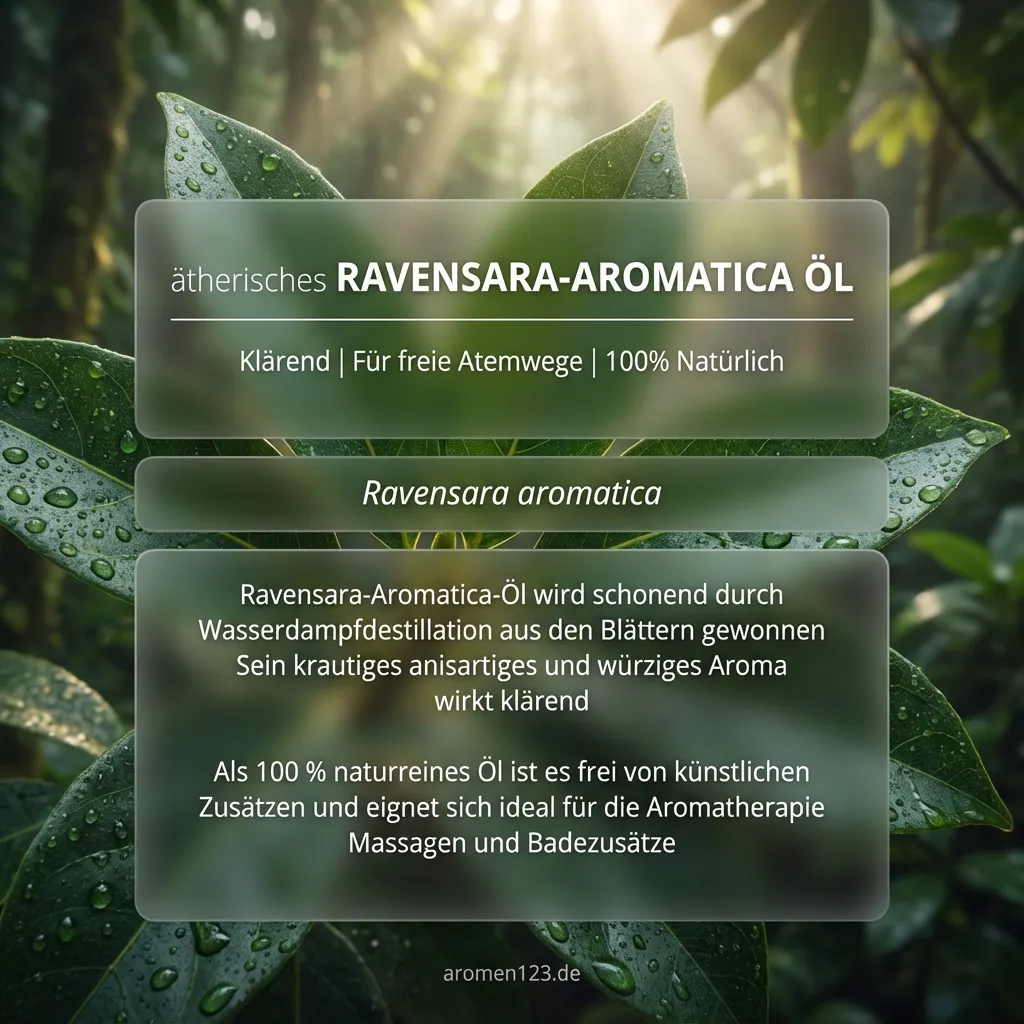 Braunglasflasche ätherisches Ravensara Aromatica Öl EU von aromen123