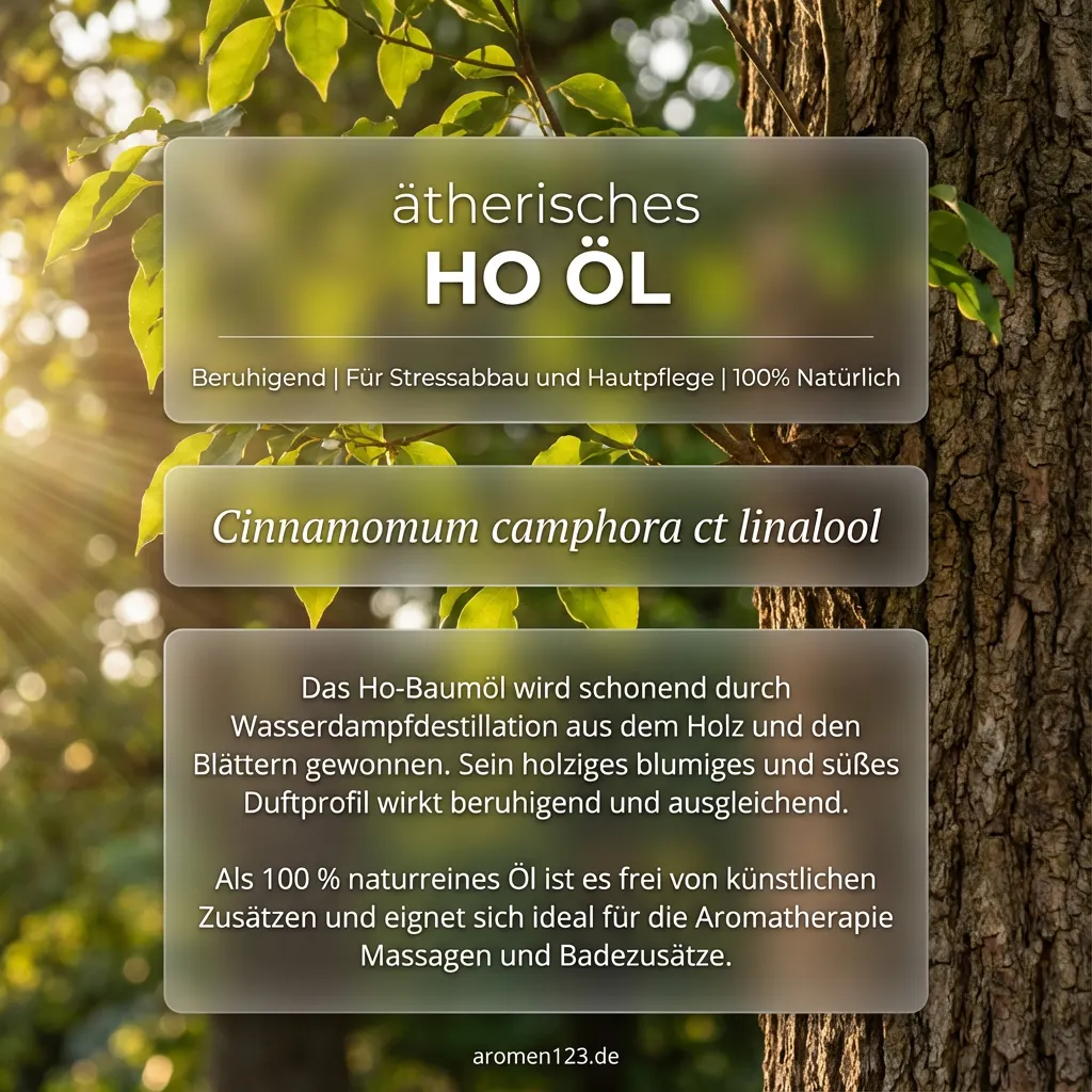 Braunglasflasche ätherisches Ho-Öl Cinnamomum camphora von aromen123