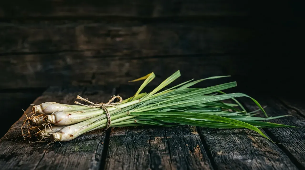 Ätherisches Lemongrasöl Cochin 10ml - Cymbopogon flexuosus