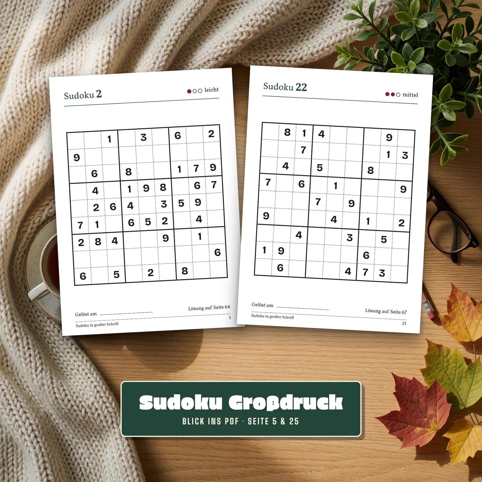 Sudoku für Senioren in Großdruck – 60 Rätsel leicht bis mittel – Einblick 2