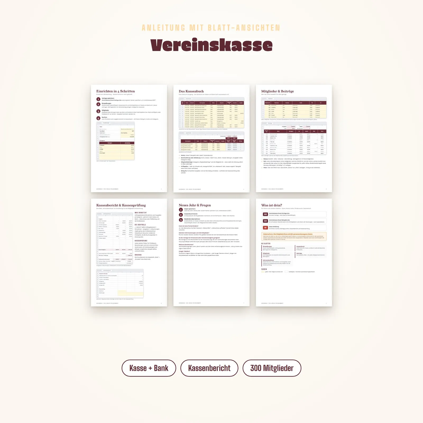 Vereinskasse Excel-Vorlage – Kassenbuch, Beiträge und Kassenbericht – Blick in die Tabelle 1