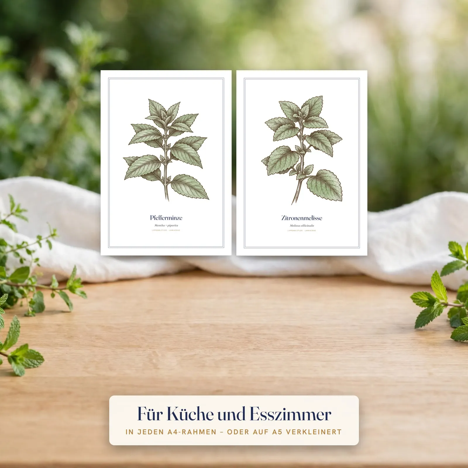 Botanische Poster Küchenkräuter – 8 Kunstdrucke A4 zum Ausdrucken Botanische Poster Küchenkräuter – 8 Kunstdrucke A4 zum Ausdrucken – Einblick 2
