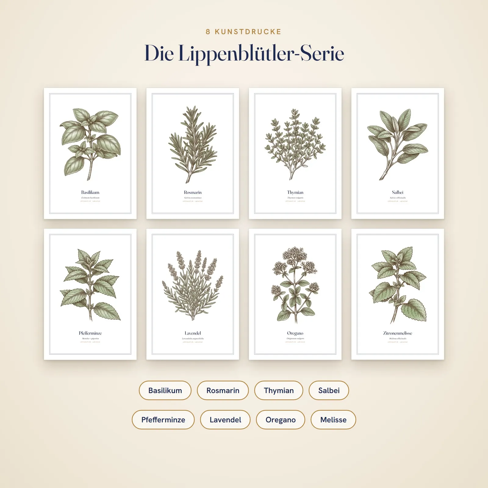 Botanische Poster Küchenkräuter – 8 Kunstdrucke A4 zum Ausdrucken Botanische Poster Küchenkräuter – 8 Kunstdrucke A4 zum Ausdrucken – Einblick 1
