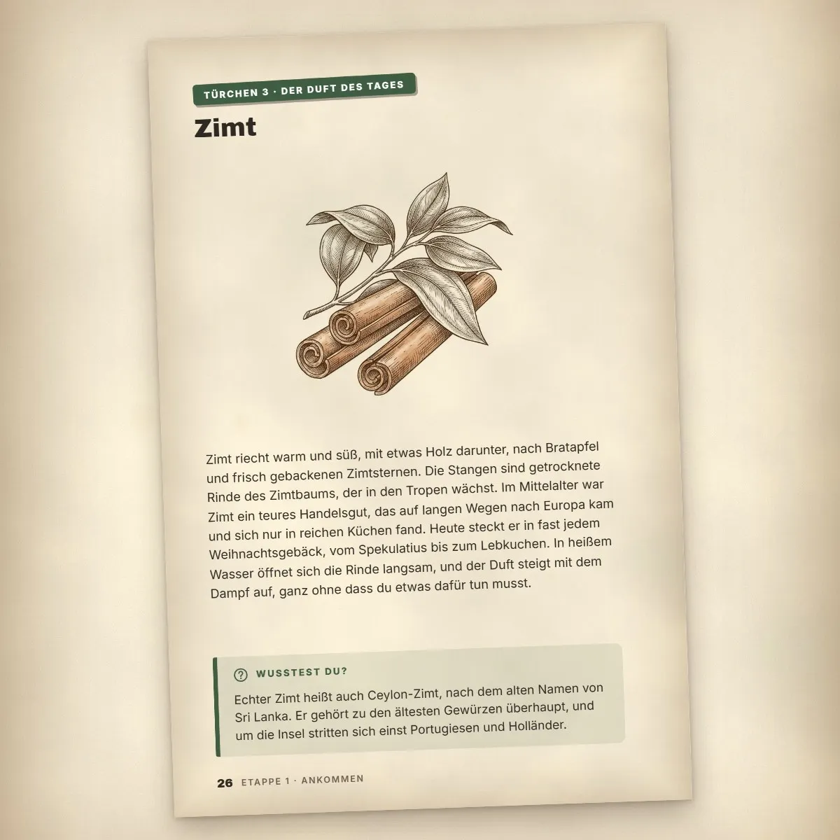 Advent im Schneckentempo – Adventskalender für Erwachsene als eBook – Einblick 3