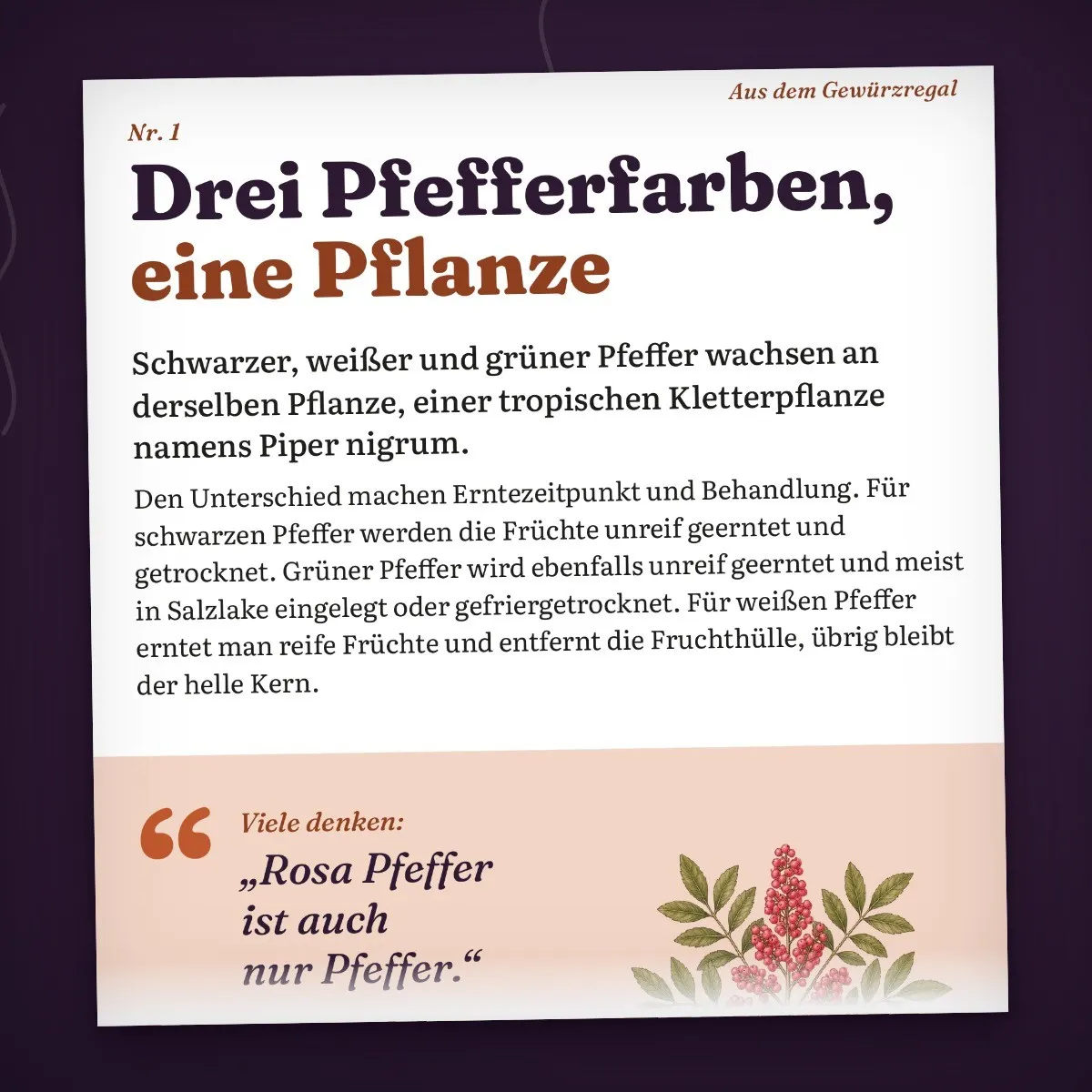 Riecht komisch, stimmt aber! – Unnützes Wissen über Düfte als eBook Riecht komisch, stimmt aber! – Unnützes Wissen über Düfte als eBook – Einblick 2