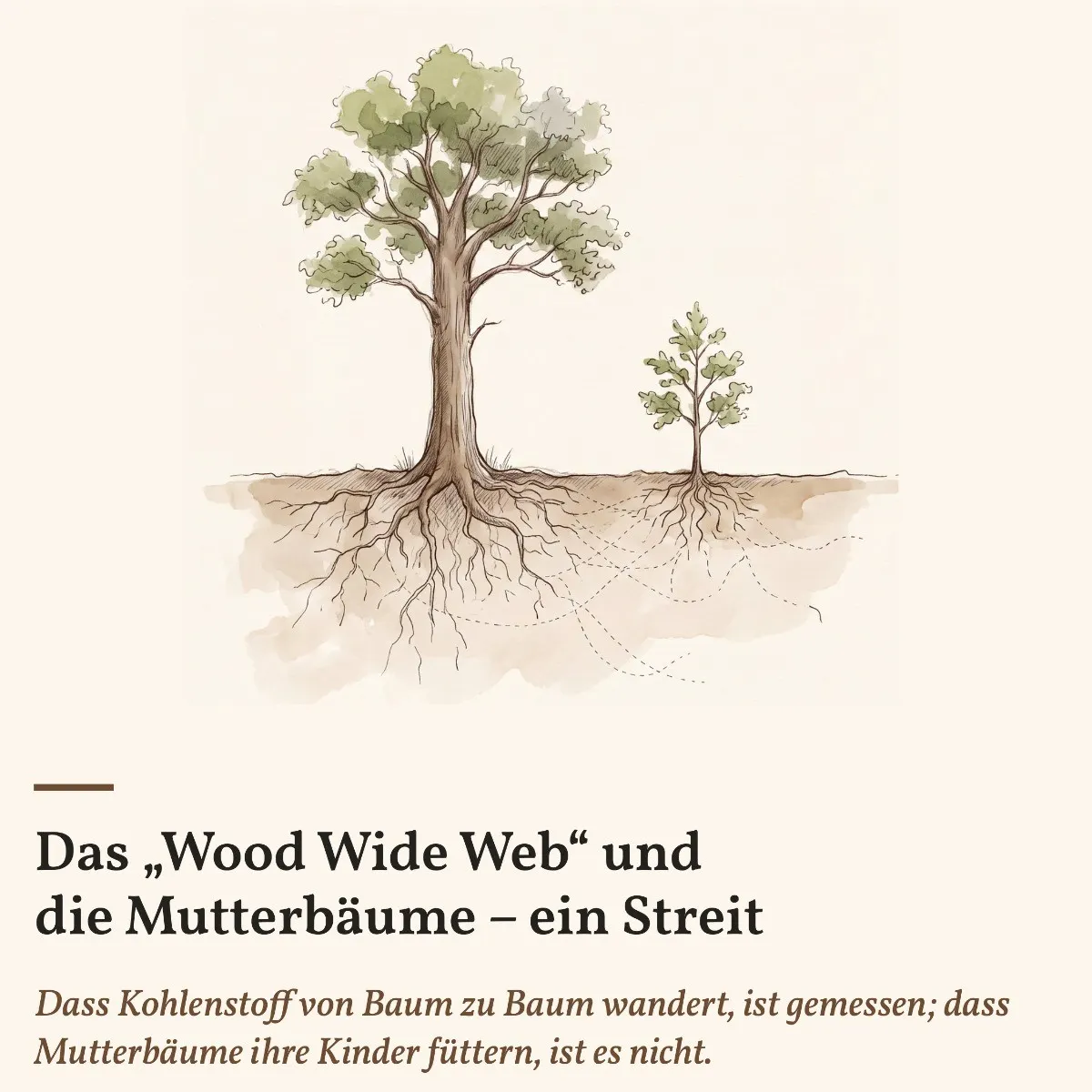 Wo das Holz leuchtet – Sachbuch über die Wunder des Waldes als eBook – Einblick 2