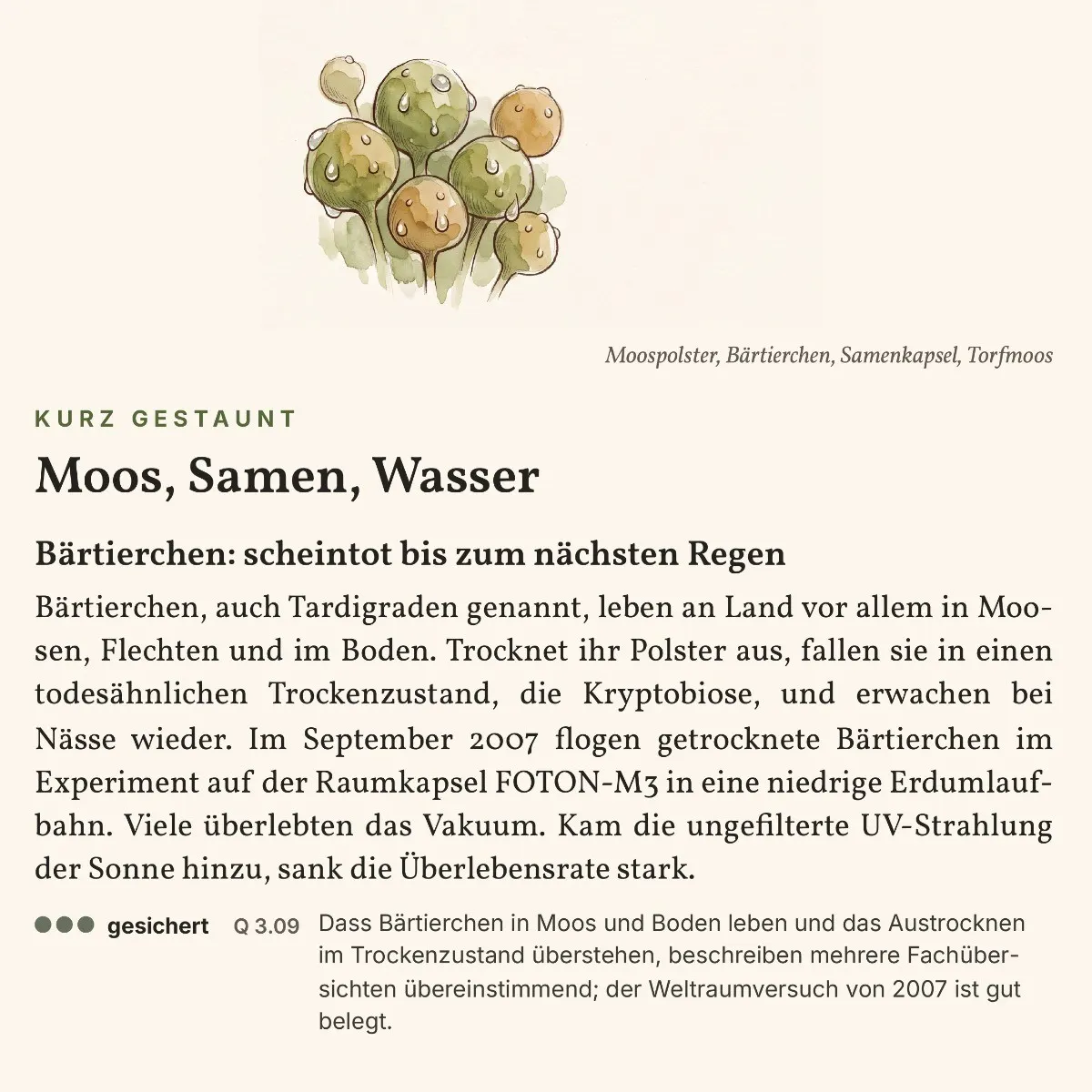 Wo das Holz leuchtet – Sachbuch über die Wunder des Waldes als eBook – Einblick 4